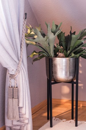 20190216-Home-Shoot-24