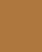 Little Greene Wandfarbe Middle Buff 122 Farbmuster Orange Dunkel