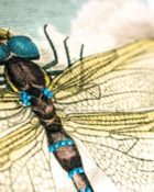 Designers Guild Kissen Dragonfly Blau-Türkis Libelle Blau Insekt Wolken Dekokissen