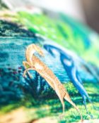 Designers Guild Kissen Reveries Vert Buis Schwarz-Weiss Dekokissen Muster Tiere Blau Pflanzen