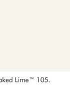 Little Greene Wandfarbe Slaked Lime kalte Farbe weiß hochwertige Farbe Schlafzimmer Wohnzimmer Esszimmer