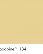 Little Greene Wandfarbe Woodbine gelb warme Farbe hochwertige Farbe Schlafzimmer Wohnzimmer Esszimmer