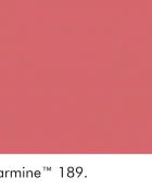 Little Greene Wandfarbe Carmine warme Farbe Rot hochwertige Farbe Schlafzimmer Wohnzimmer Esszimmer