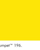 Little Greene Wandfarbe Trumpet warme Farbe gelb hochwertige Farbe Schlafzimmer Wohnzimmer Esszimmer