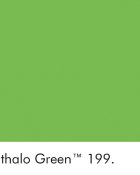 Little Greene Wandfarbe Phthalo Green grün kalte Farbe hochwertige Farbe Schlafzimmer Wohnzimmer Esszimmer