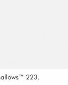 Little Greene Wandfarbe Shallows kalte Farbe weiß hellgrau hochwertige Farbe Schlafzimmer Wohnzimmer Esszimmer