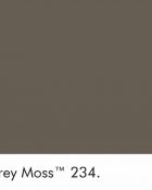 Little Greene Wandfarbe Gray Moss warme Farbe braun hochwertige Farbe Schlafzimmer Wohnzimmer Esszimmer