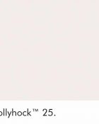 Little Greene Wandfarbe Hollyhock warme Farbe hellrosa hochwertige Farbe Schlafzimmer Wohnzimmer Esszimmer