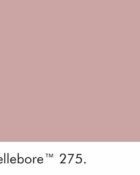 Little Greene Wandfarbe Hellebore rosa warme Farbe hochwertige Farbe Schlafzimmer Wohnzimmer Esszimmer