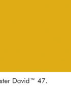 Little Greene Wandfarbe Mister David warme Farbe gelb hochwertige Farbe Schlafzimmer Wohnzimmer Esszimmer