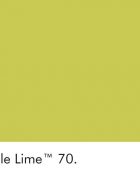 Little Greene Wandfarbe Pale Lime hellgrün kalte Farbe hochwertige Farbe Schlafzimmer Wohnzimmer Esszimmer