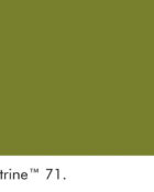 Little Greene Wandfarbe Citrine grün kalte Farbe hochwertige Farbe Schlafzimmer Wohnzimmer Esszimmer