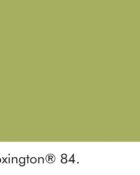 Little Greene Wandfarbe Boxington grün kalte Farbe hochwertige Farbe Schlafzimmer Wohnzimmer Esszimmer