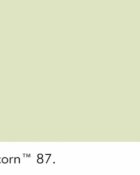 Little Greene Wandfarbe Acorn kalte Farbe hellgrün hochwertige Farbe Schlafzimmer Wohnzimmer Esszimmer