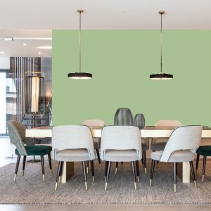 Little Greene Wandfarbe Pea Green 91 Edle Wandfarbe Erfrischende Wandfarbe Farbe Little Greene