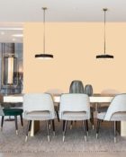 Little Greene Wandfarbe Stone Pale Warm 34 Beige Wandfarbe Wohnzimmer Edle Wandfarbe Eingangsbereich freundliche Wandfarbe Beige