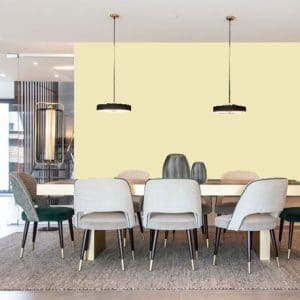 Little Greene Wandfarbe White Lead Dark 172 Dunkles Beige Wandfarbe Kräftiges Beige Wandfarbe Leuchtende Wandfarben