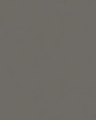 Little Greene Wandfarbe Dark Lead Colour 118 Akzent Wandfarbe Dunkelgraue Wandfarbe Dunkle Wandfarbe