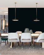 Little Greene Wandfarbe Jack Black 119 Raumwirkung dunkle Farben Schwarze Wandfarbe Wände schwarz streichen