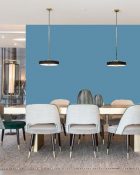 Little Greene Wandfarbe Tivoli 206 Hellblauer Wandanstrich Intensive Himmelblaue Wandfarbe Kühle Wandfarbe