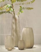 Koonam Smokegrey familiy