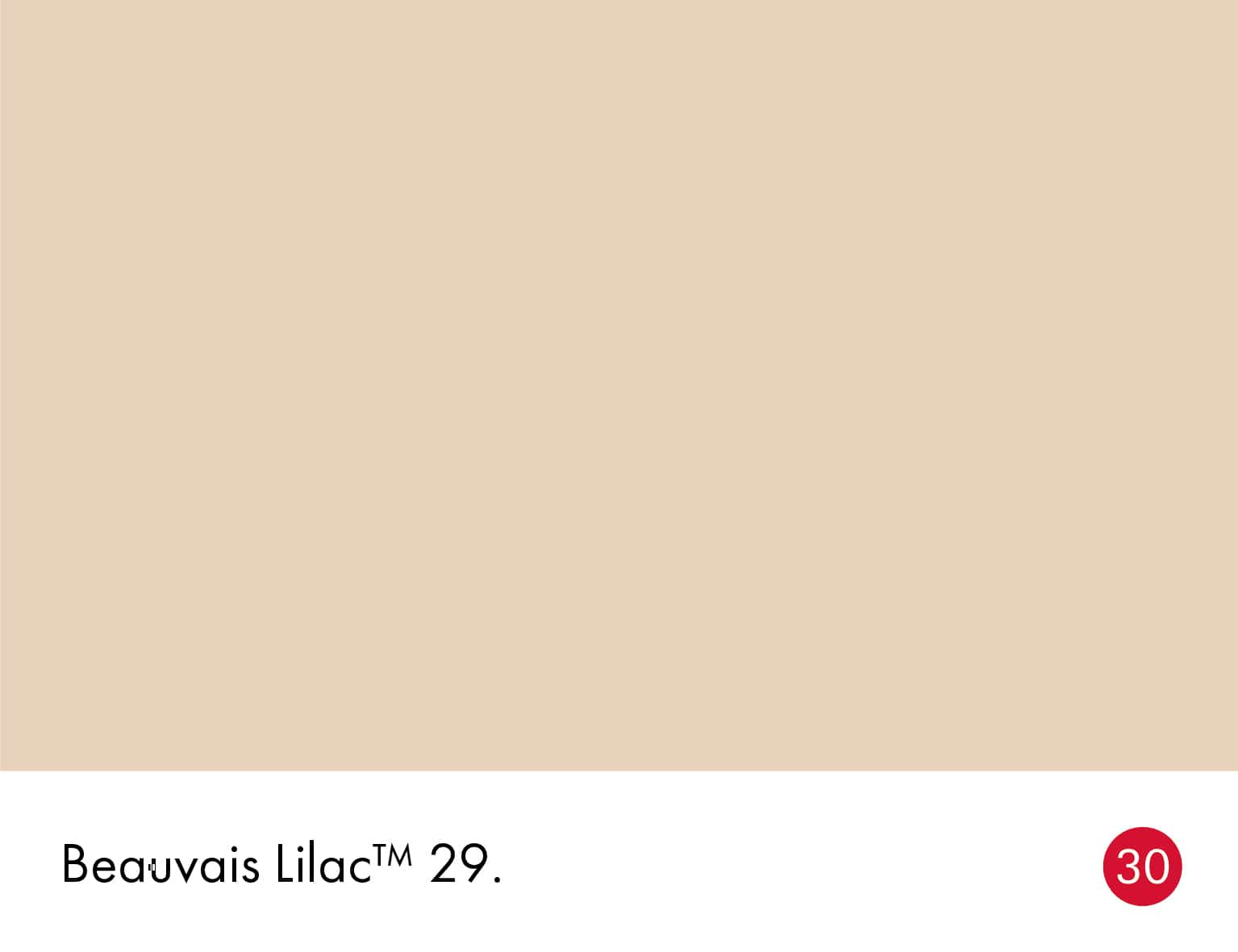 Little Greene Beauvais Lilac 29 Wandfarbe