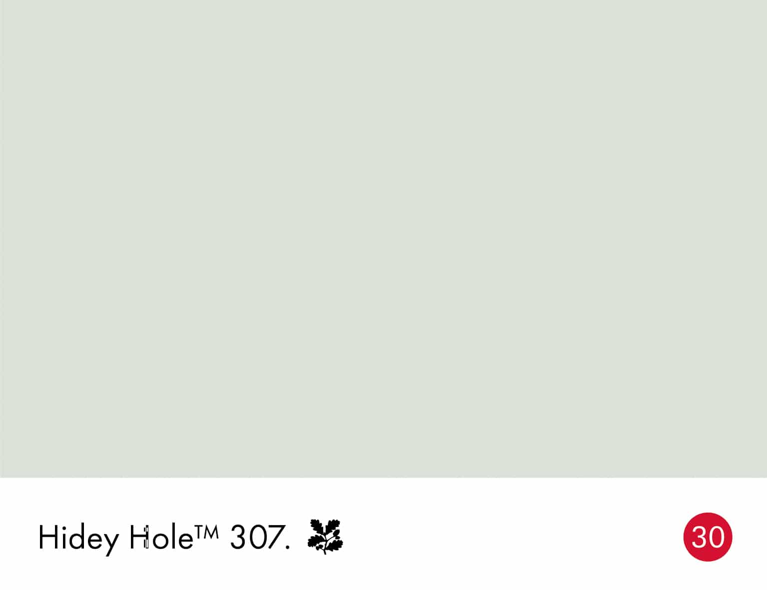 Little Greene Hidey Hole 307