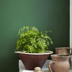 Little Greene Wandfarbe Dark Brunswick Green 88