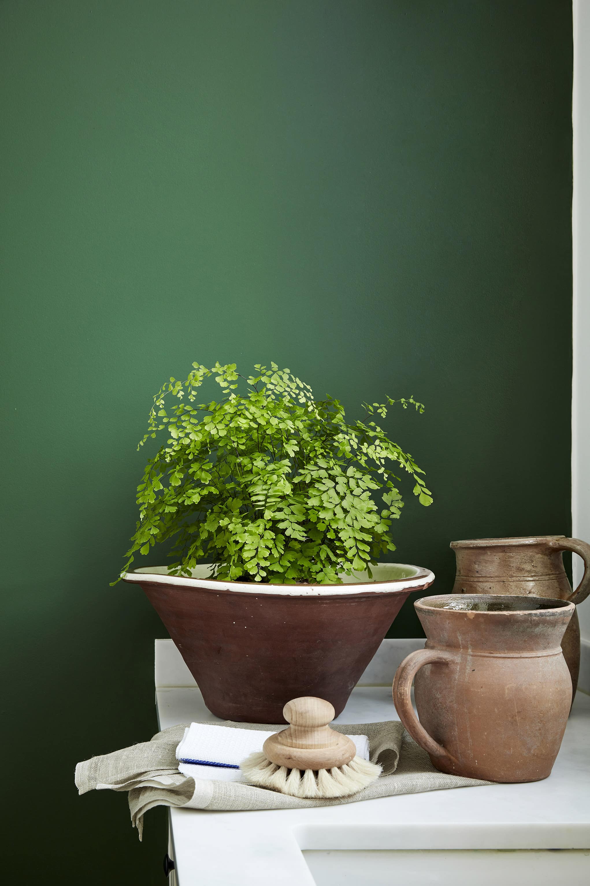 Little Greene Wandfarbe Dark Brunswick Green 88